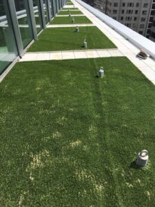 terrace grass on the roof of 1441 L Street NW