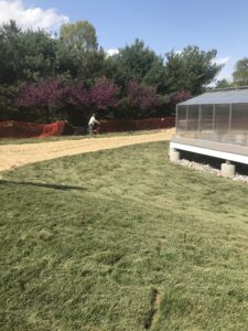 newly planted grass at the ClearView Communities Greenhouse